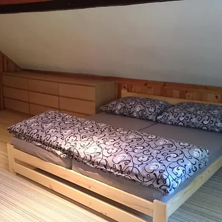 Pro Deti * Cvikov