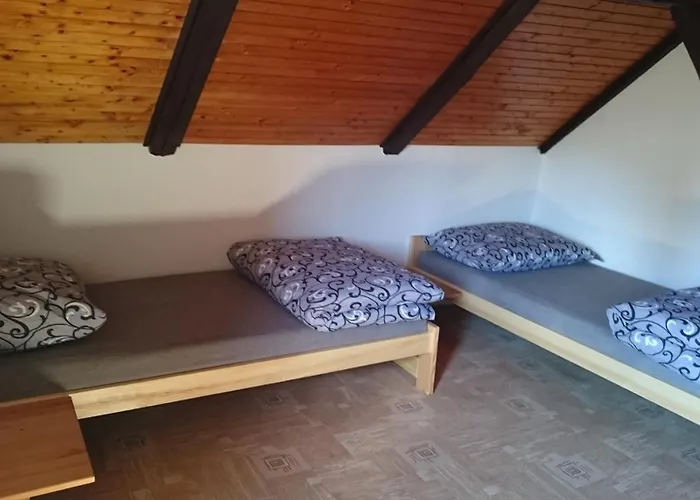 Pro Deti Cvikov